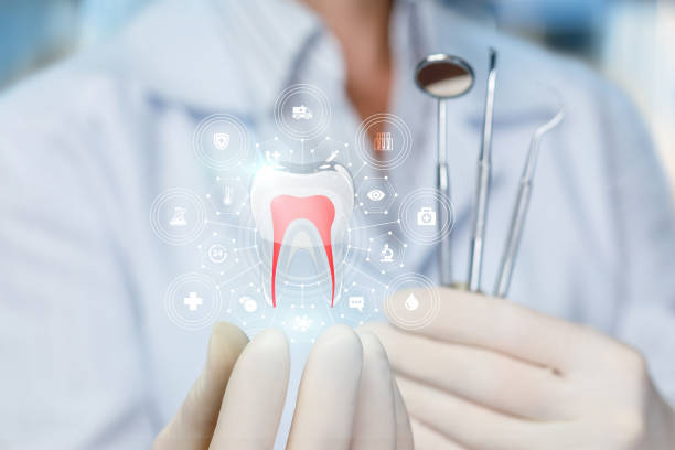 Best Full Mouth Reconstruction  in South Connellsville, PA
